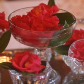 camellias in crystal