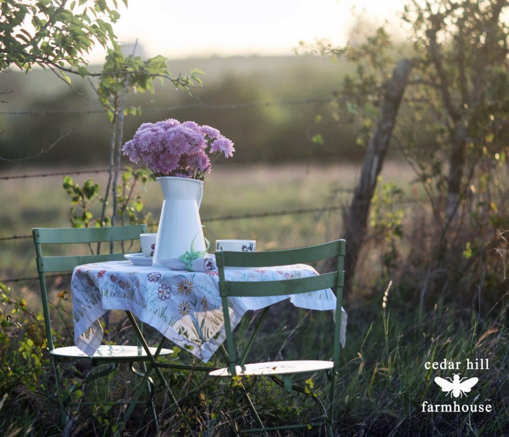 table and chairs at sunset in field