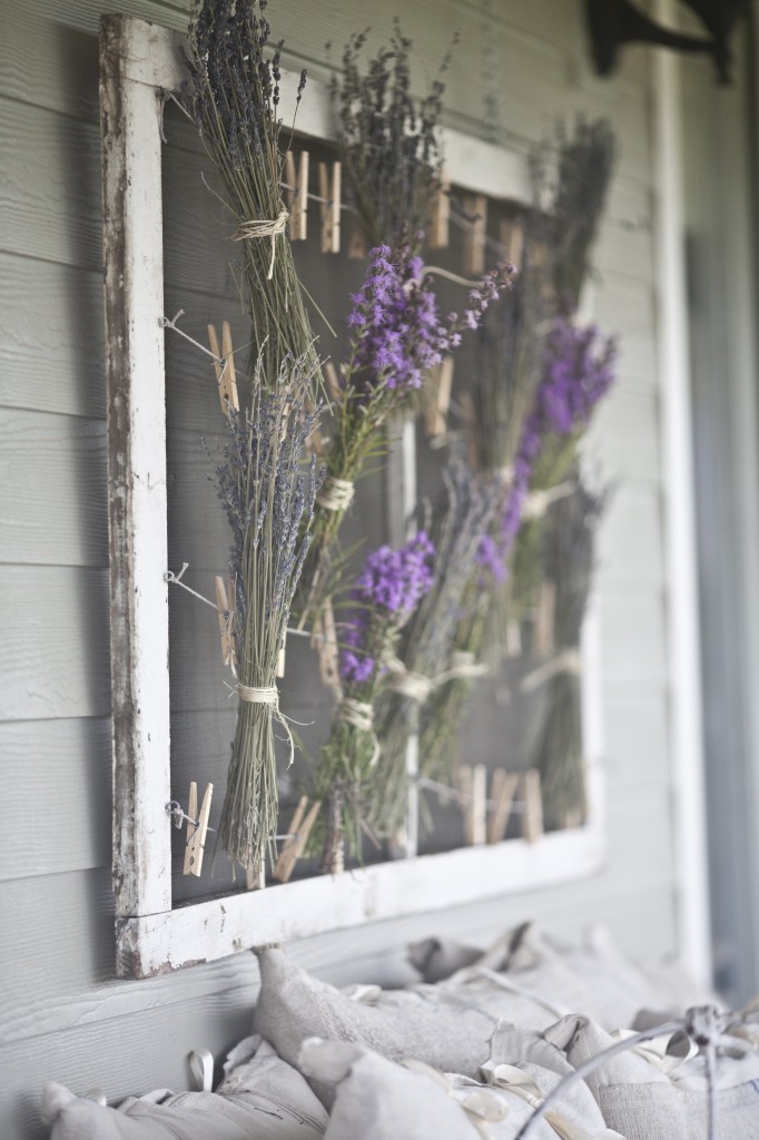 dried flowers