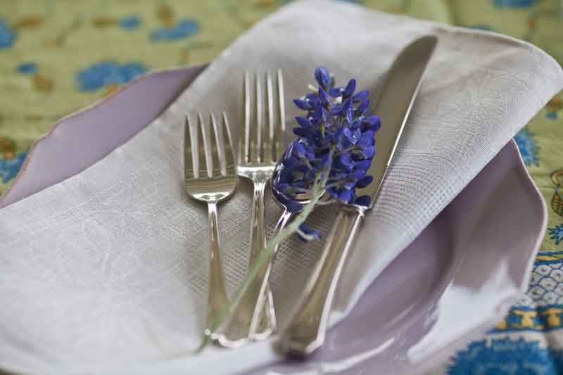 silverware-and-bluebonnets