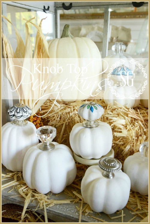 KNOB-TOP-PUMPKINS-very-chic-way-to-decorate-a-pumpkin-stonegableblog.com_1-e1411220913982