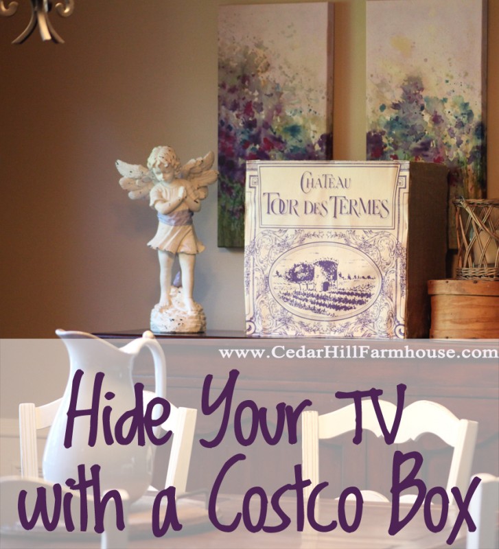 costco box tv cover