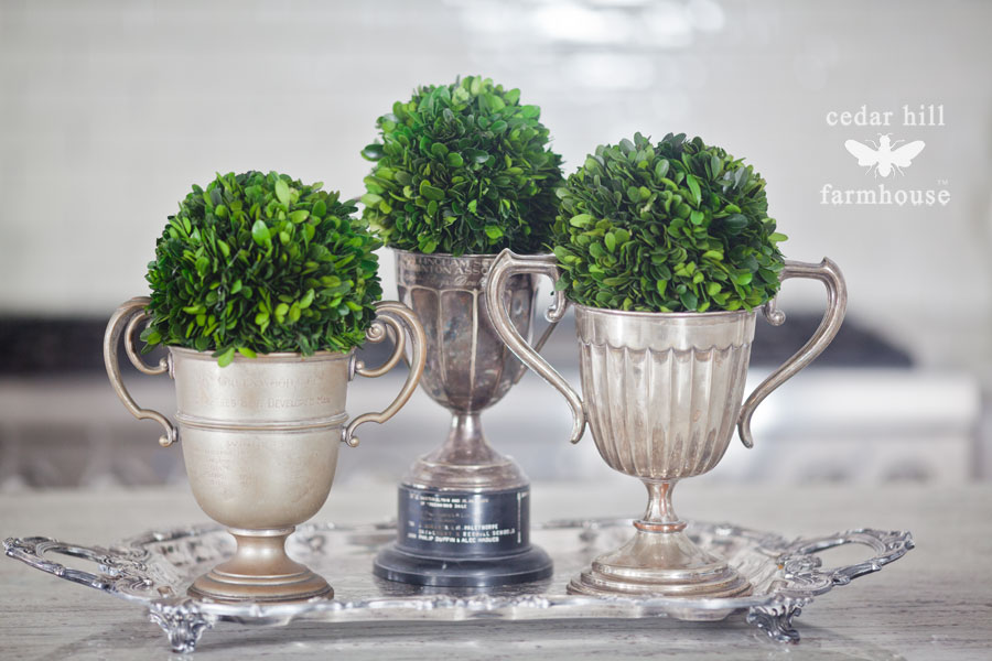 boxwood-and-vintage-trophies