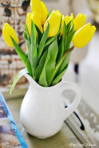 yellow tulips in white pitcher atthepicketfence.com