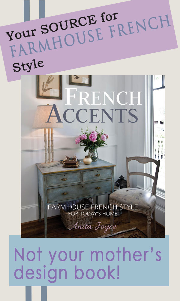 book-pin-french-accents-anita-joyce