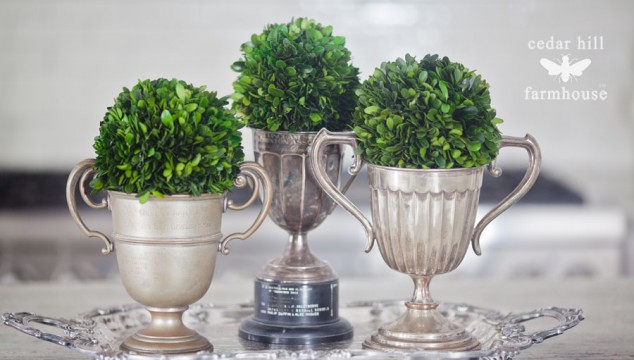 boxwood-and-vintage-trophies-634x360