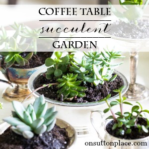 diy coffee table succulent garden