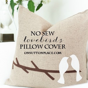 no sew lovebirds pillow cover diy