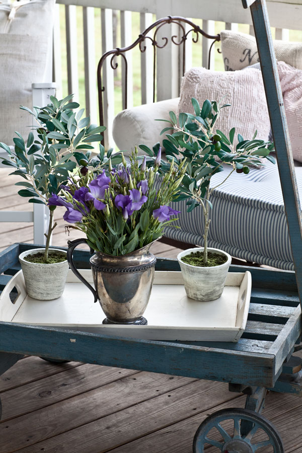 olive-trees-and-bluebells