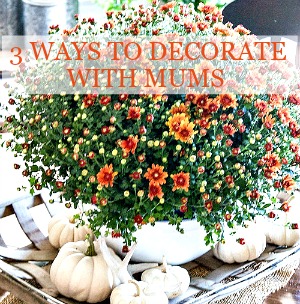 1fall-home-tour-2016-part-2-mums-and-white-pumpkins-stonegableblog-2-2