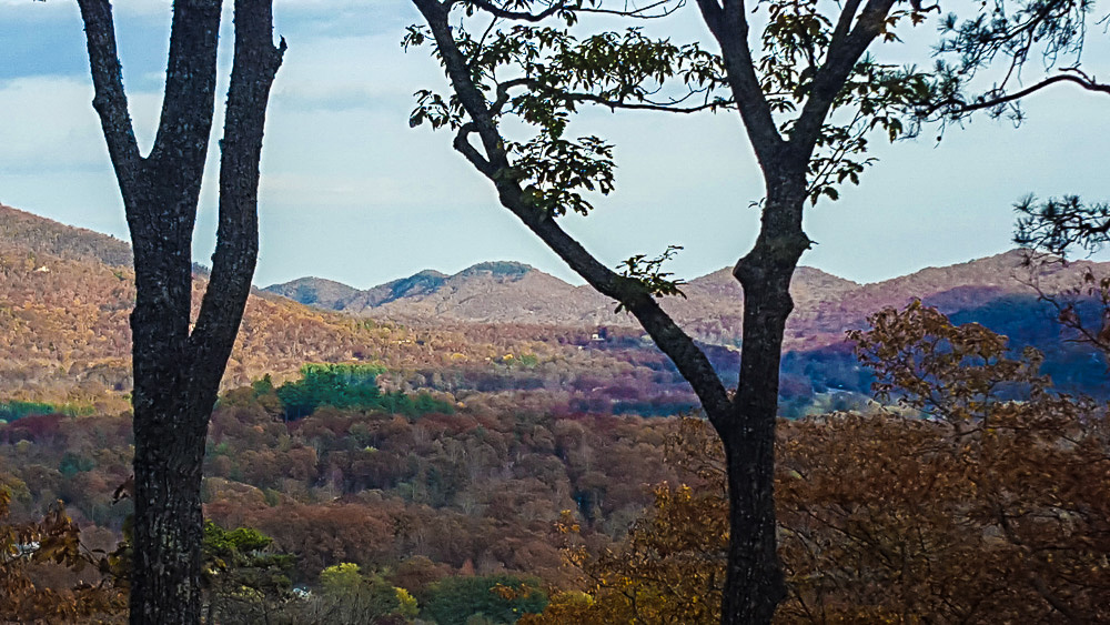 cedar-hill-farmhouse-thanksgiving-7