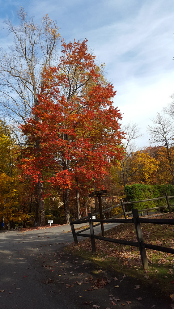 thanksgiving-cedar-hill-farmhouse-mountains-11