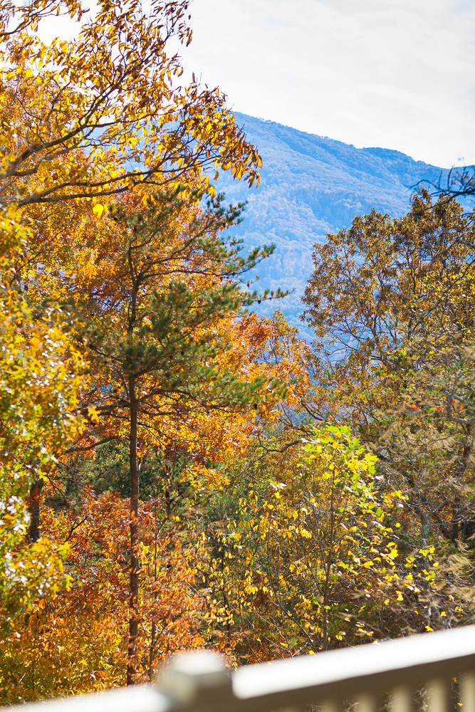 thanksgiving-cedar-hill-farmhouse-mountains-6-copy