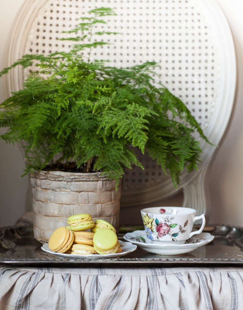 fast fall decor macarons