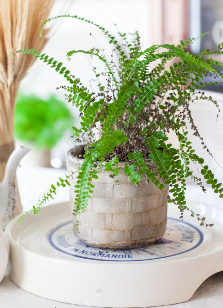 decorating details greenery