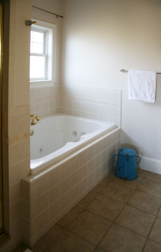 bathroom remodel tub before