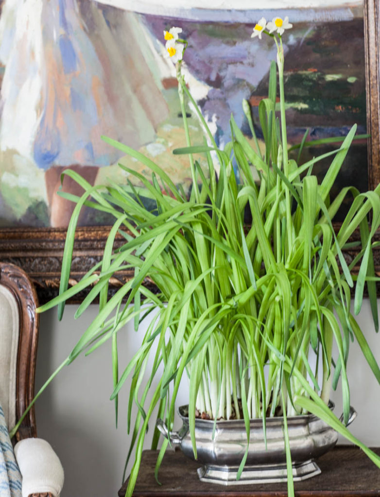 velvet ottoman slipcover paperwhites