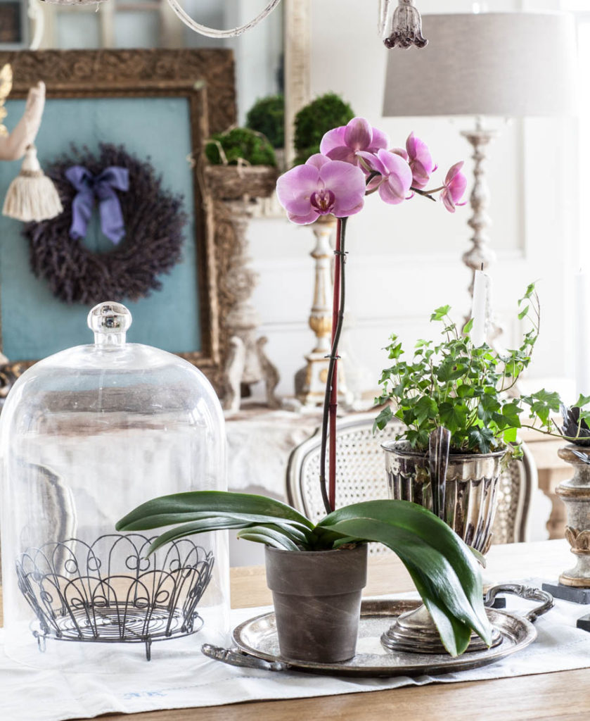 Cloche with basket